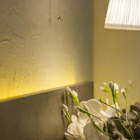 Pagona House Daire Toroni